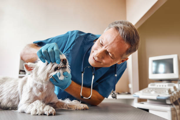  Richlands, VA Emergency Dentist Pros