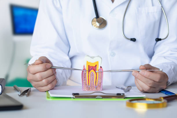 Best Emergency Dental Care for Abscessed Tooth in Richlands, VA